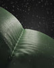 src_rains-dk_Video_53860129145179