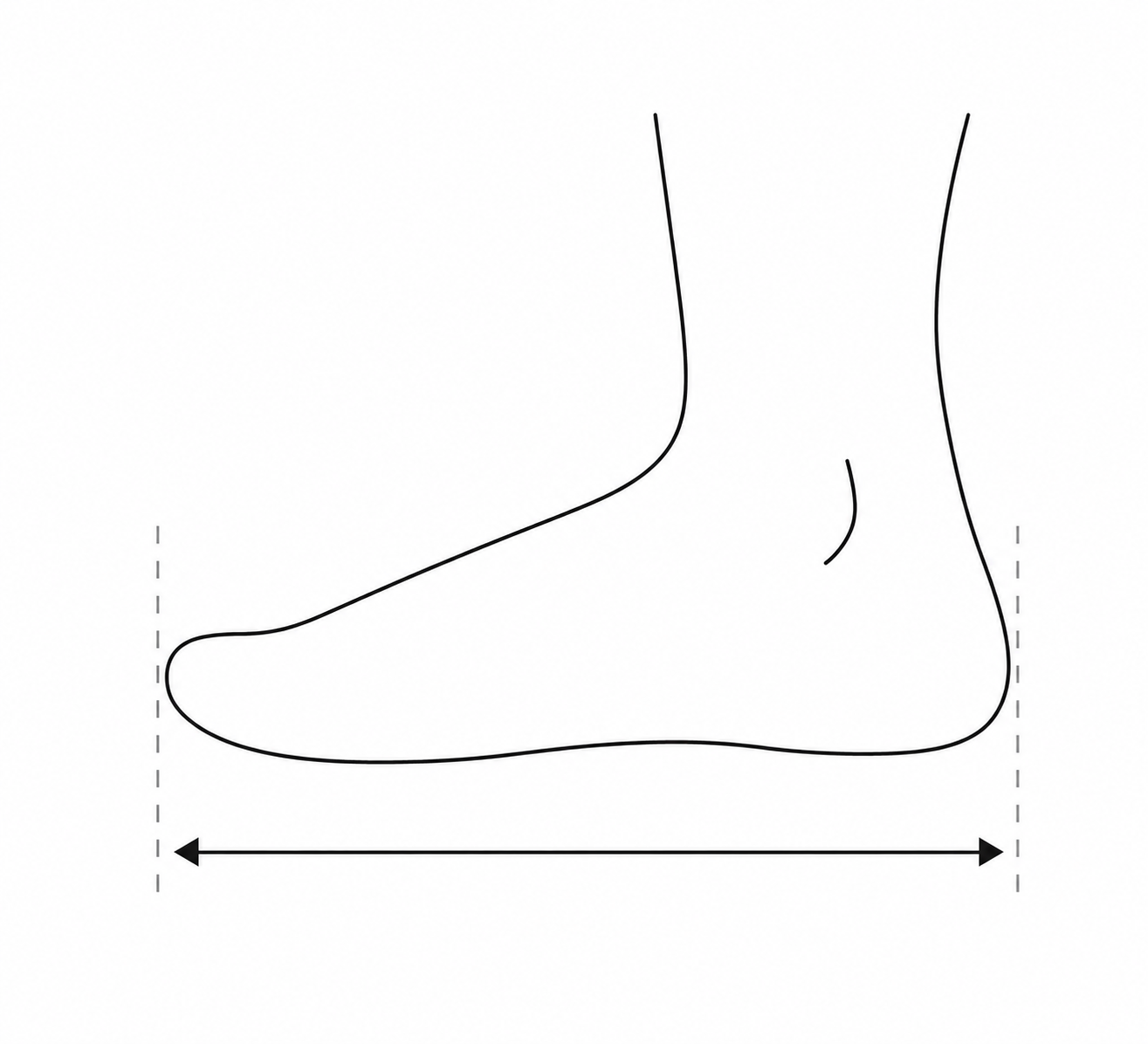Diagramme des mesures du pied